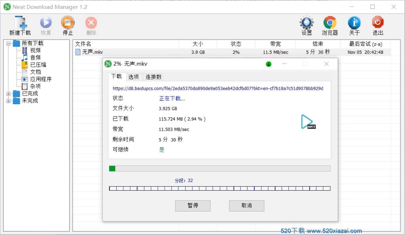 Neat Download Manager1.2 NeatDM1.2汉化中文版