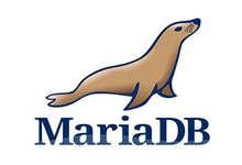 MariaDB 10.5.8 32位/64位 for windows 官方最新版